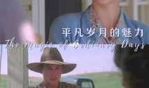 平凡岁月的魅力 电影,电影平凡岁月深度解析