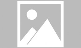 世界电影节,光影交织的国际电影盛宴