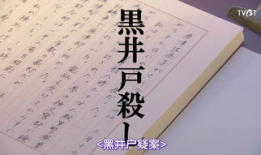罗杰疑案电影,真相迷雾中的悬疑之旅